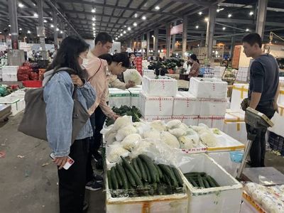 饮食服务中心调研农产品市场促保供稳价